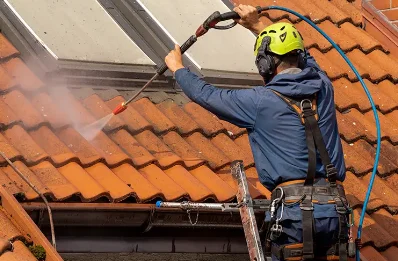 Démoussage et hydrofuge de toiture à Flayat